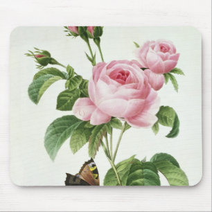 Rosa Centifolia Mouse Mat