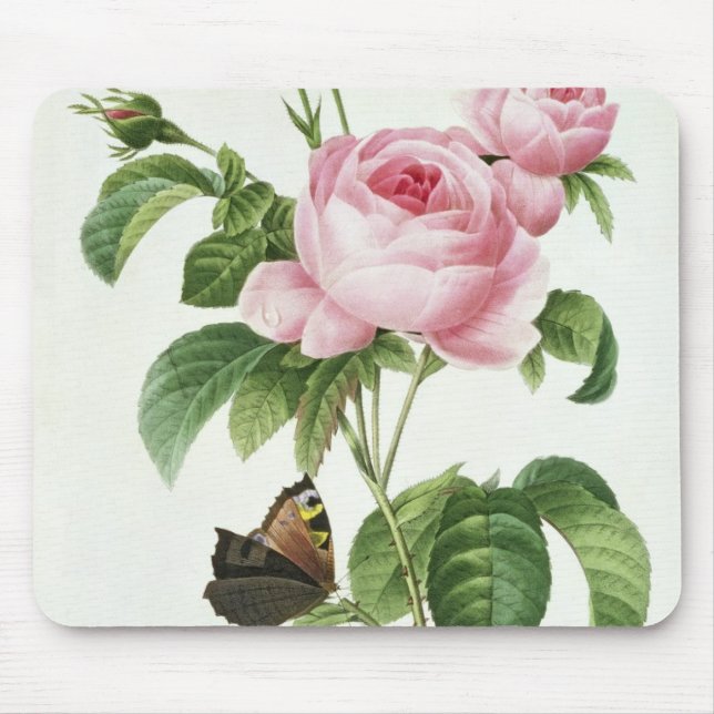 Rosa Centifolia Mouse Mat (Front)