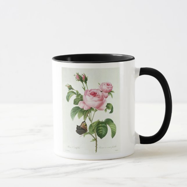 Rosa Centifolia Mug (Right)