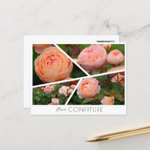 Rosa Confiture Postcard
