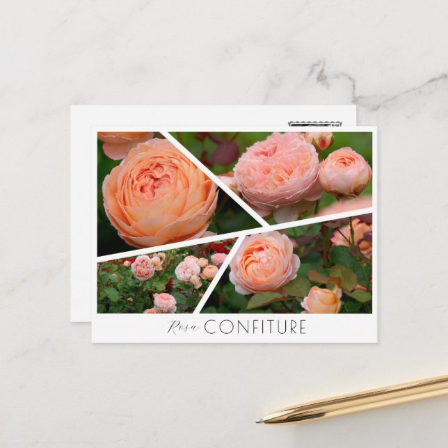 Rosa Confiture Postcard (Front/Back In Situ)