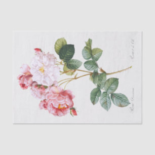 Rosa Damascena Tissue Paper