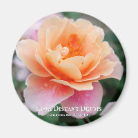 Rosa Distant Drums