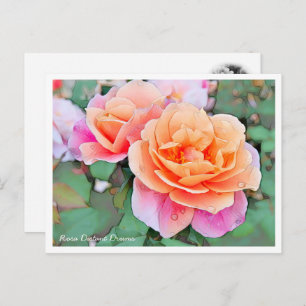 Rosa Distant Drums Postcard