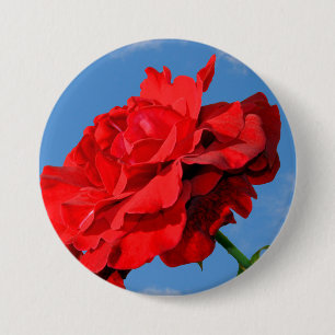 Rosa Don Juan rose with a blue sky 7.5 Cm Round Badge