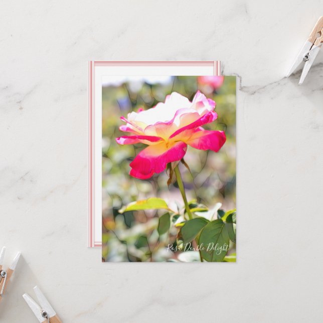 Rosa Double Delight: Flat Card (Front/Back In Situ)