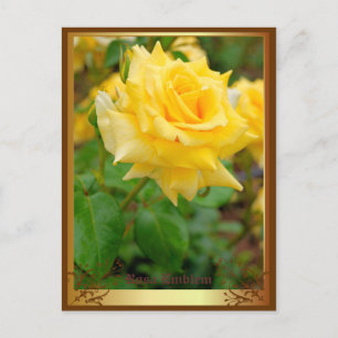 Rosa Emblem [Postcard] Postcard
