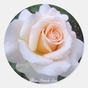 Rosa French Lace:Round Seal