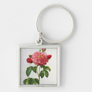 Rosa Gallica Aurelianensis Key Ring