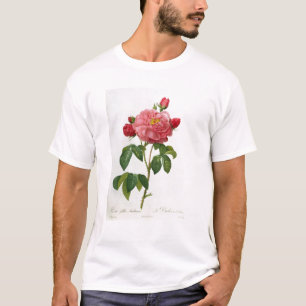 Rosa Gallica Aurelianensis T-Shirt
