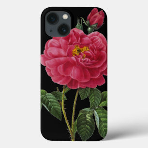 Rosa Gallica iPhone 13 Case