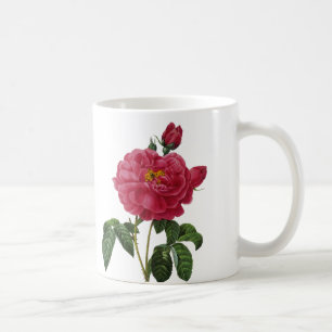 Rosa Gallica Coffee Mug