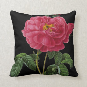 Rosa Gallica Cushion