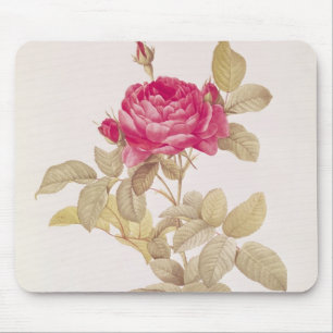 Rosa Gallica Pontiana, from 'Les Roses' Mouse Mat