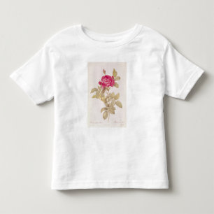 Rosa Gallica Pontiana, from 'Les Roses' Toddler T-Shirt