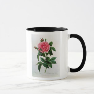 Rosa Gallica Regallis Mug