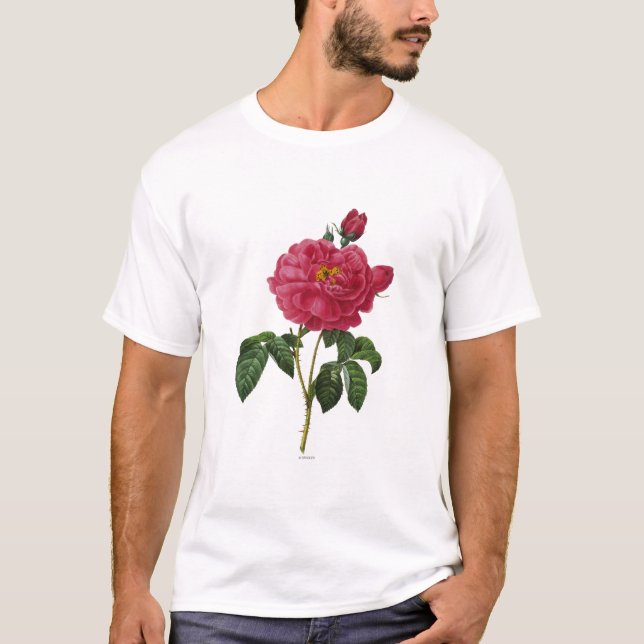 Rosa Gallica T-Shirt (Front)