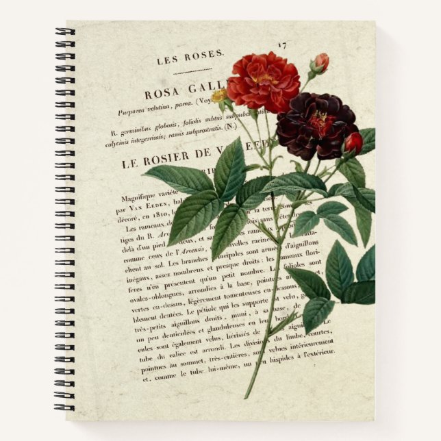 Rosa gallica Van Eeden Gardener Notebook (Front)