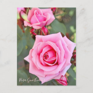 Rosa Gene Boerner [Postcard] Postcard