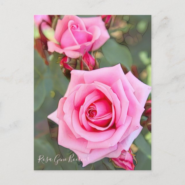 Rosa Gene Boerner [Postcard] Postcard (Front)