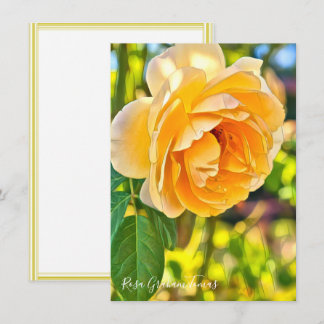 Rosa Graham Tomas: Flat Card
