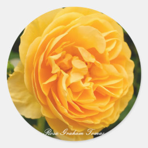 Rosa Graham Tomas [Round Seal] Classic Round Sticker