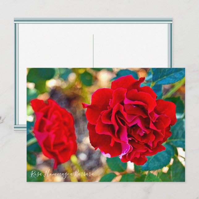 Rosa Hommage a Barbara: Flat Card (Front/Back)