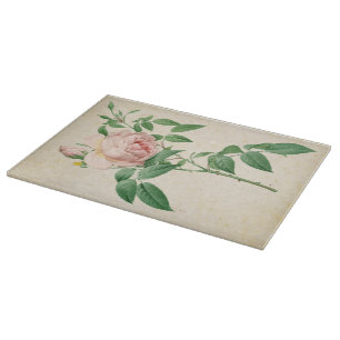 Rosa indica fragrans botanical illustration cutting board