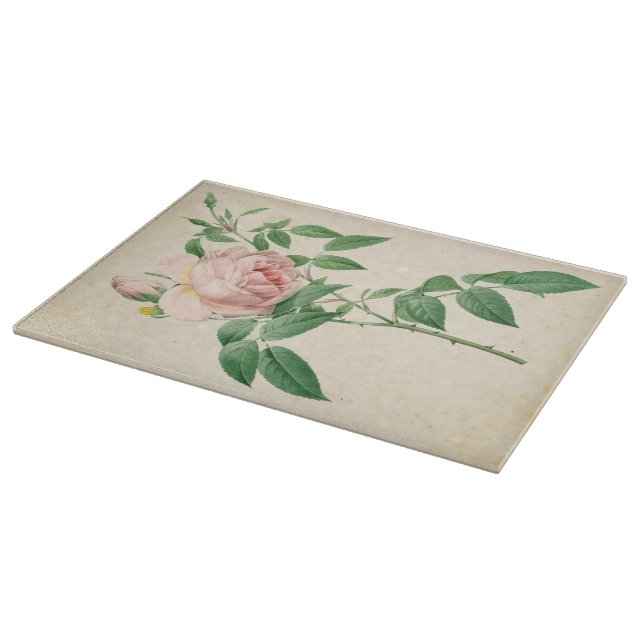 Rosa indica fragrans botanical illustration cutting board (Corner)