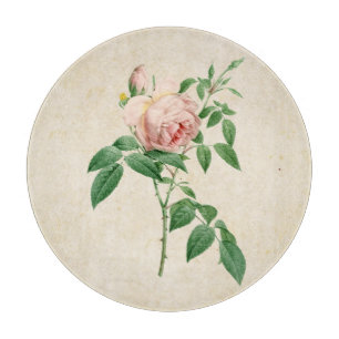 Rosa indica fragrans botanical illustration cutting board