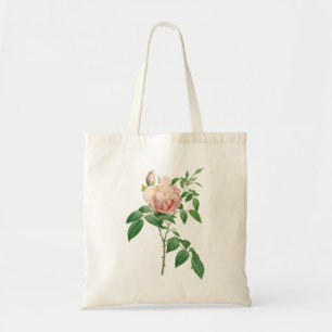 Rosa indica fragrans botanical illustration tote bag