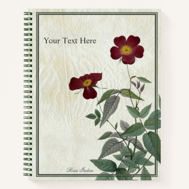 Rosa Indica Notebook (Front)