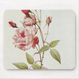 Rosa Indica Vulgaris, from 'Les Roses' Mouse Mat