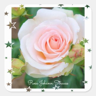 Rosa Johann Strauss [Square Seal] Square Sticker
