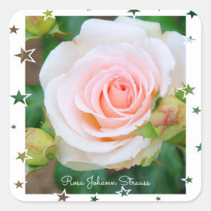 Rosa Johann Strauss [Square Seal] Square Sticker