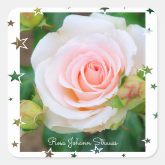 Rosa Johann Strauss [Square Seal] Square Sticker