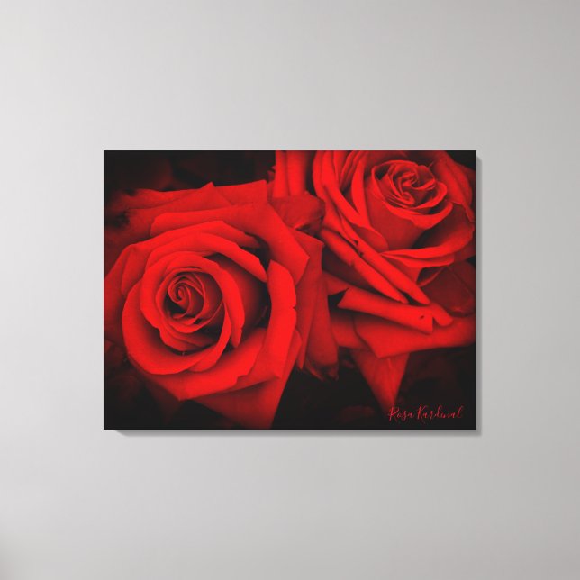 Rosa Kardinal:Canvas Print (Front)