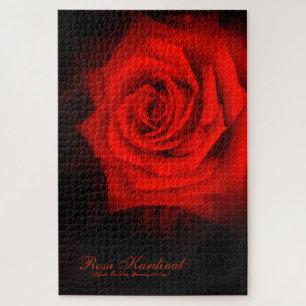 Rosa Kardinal [Jigsaw puzzle(1014 piece)] Jigsaw Puzzle
