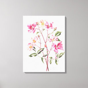 Rosa 'Mutabilis' 1996 Canvas Print