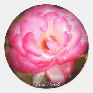 Rosa Nicole Classic Round Sticker