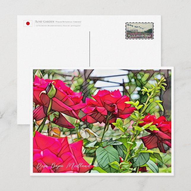 Rosa Papa Meilland Postcard (Front/Back)