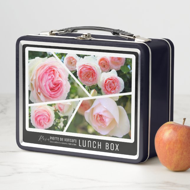 Rosa Pierre de Ronsard Metal Lunch Box (In Situ)
