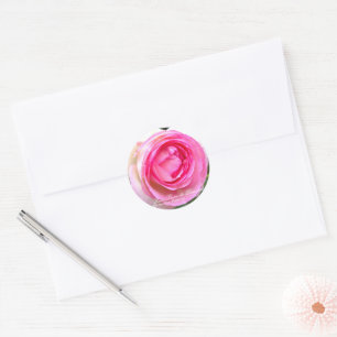 Rosa Pierre de Ronsard [Round Seal] Round Seal