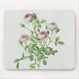 Rosa Pomponia, from 'Les Roses' Mouse Mat