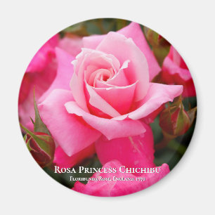 Rosa Princess Chichibu マグネット Magnet