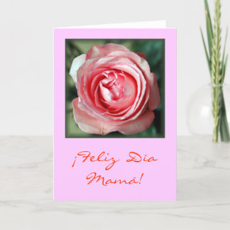 "Rosa Rosa" Card