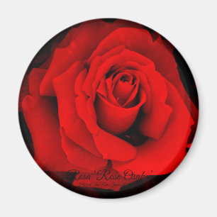 Rosa ‘Rose Osaka’:Round Magnet