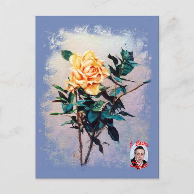 Rosa/Rose Postcard (Front)