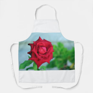 Rosa rossa Grembiule fotografico floreale Apron
