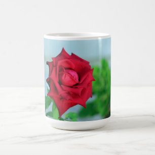 Rosa rossa - tazza fotografica floreale coffee mug